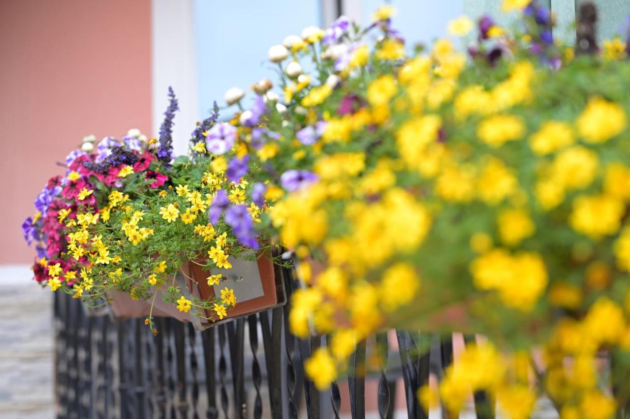 Guest house Zrenners Garni